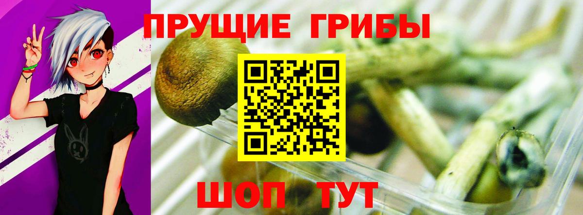 Псилоцибиновые грибы прущие грибы Костомукша